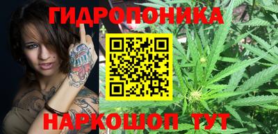 молекула духа Гай