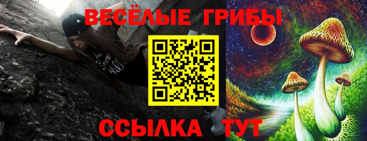 Псилоцибиновые грибы Psilocybe Орехово-Зуево